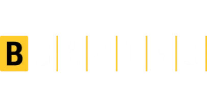 partners who work with Big Boost