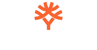 partners who work with Big Boost